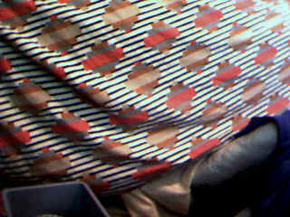 Down-R3.bmp (230454 bytes)