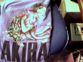 Fri.bmp (230454 bytes)