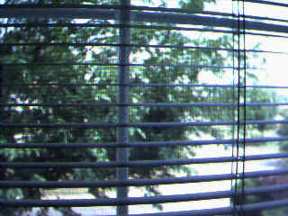 Front-Lb.bmp (230454 bytes)