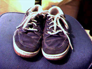 Shoes.bmp (230454 bytes)