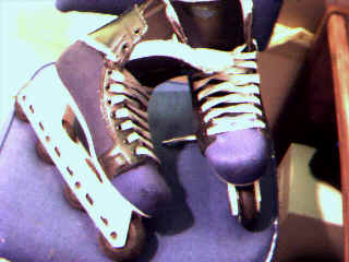 Skates.bmp (230454 bytes)